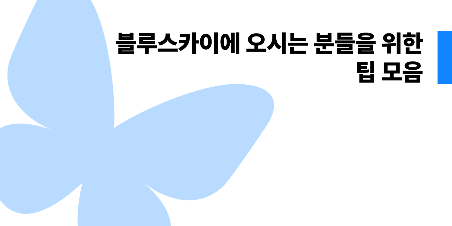 표지 사진